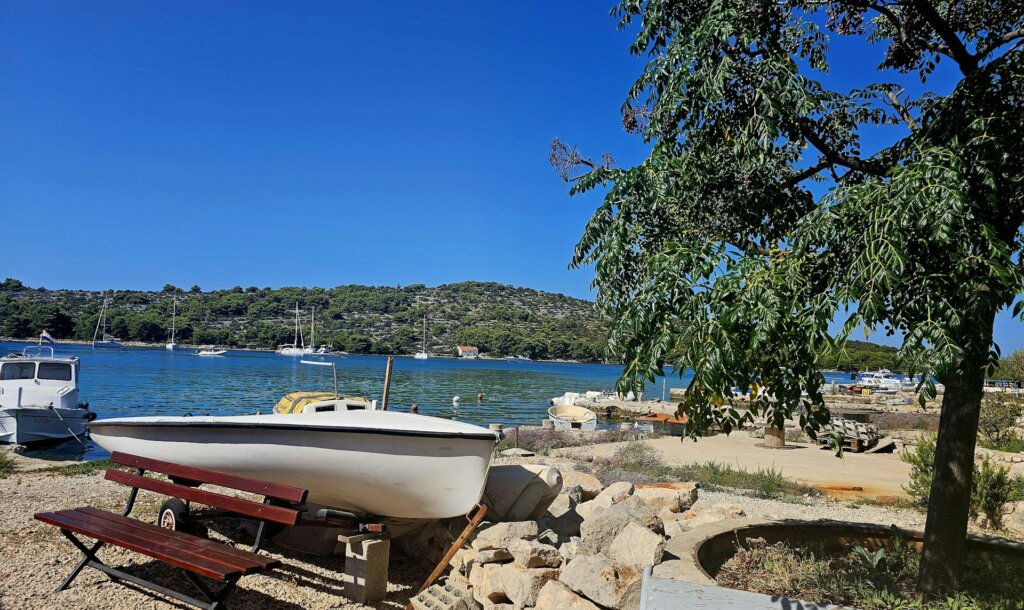 kirsty-hammond-1EnWV_LJ-Fg-unsplash(1)